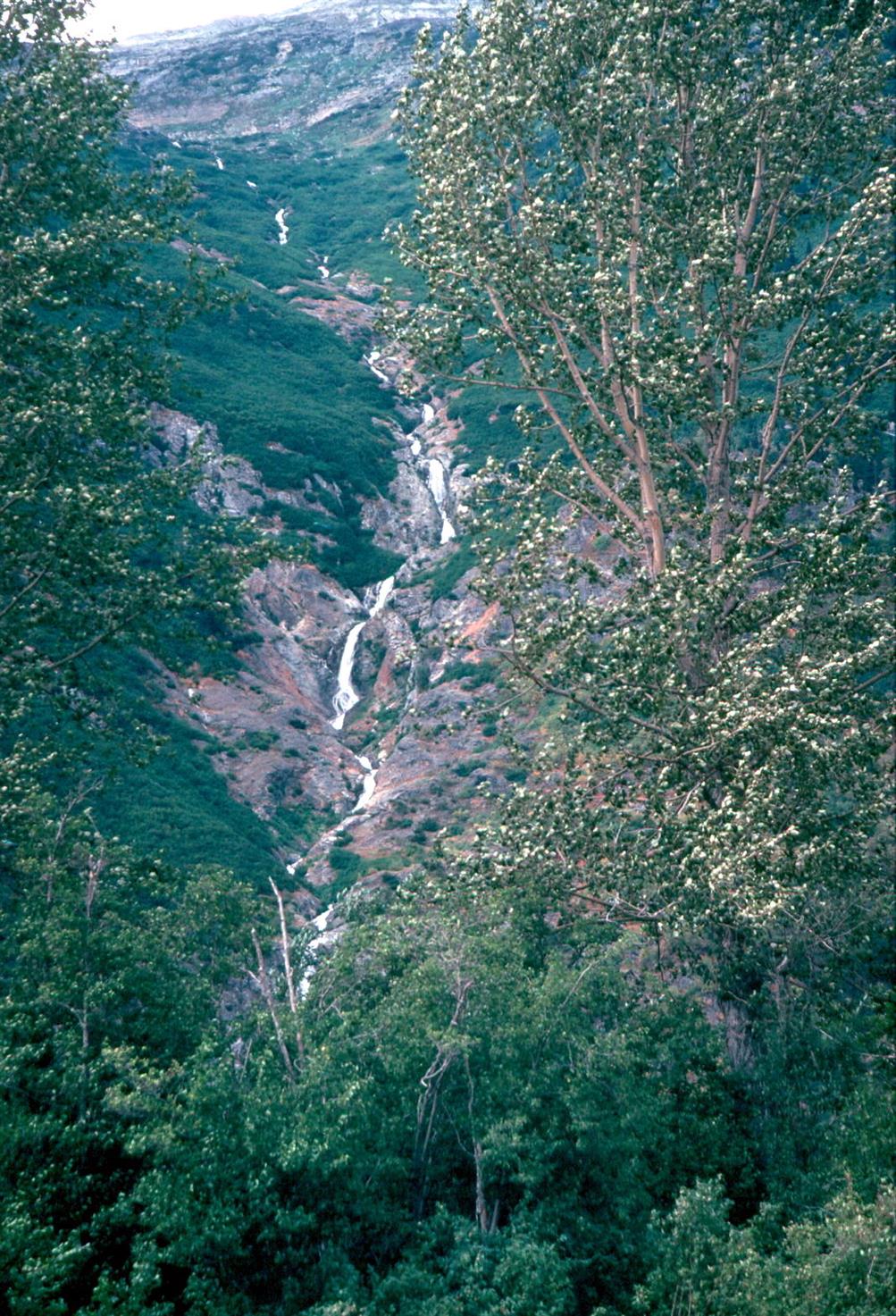 JimsAlaskaTrip1977_109.jpg, 483KB